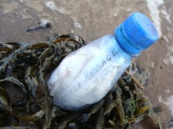 The bottle washed up in St Andrews after 23 years at sea (photo: Richard Cook)